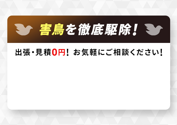 害鳥の完全駆除ならお任せください！